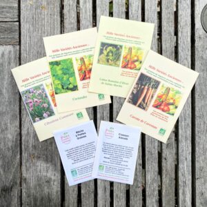 Assortiment Potager d’Hiver – Semis de Septembre