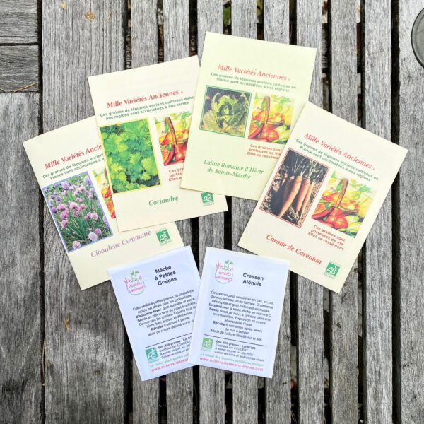 Assortiment Potager d'Hiver Semis de Septembre