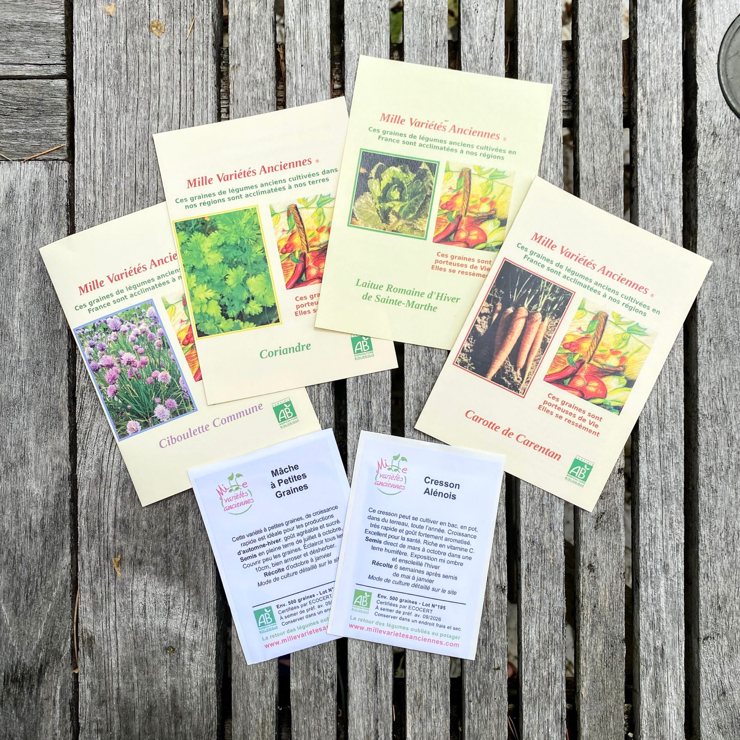 Assortiment Potager d'Hiver Semis de Septembre