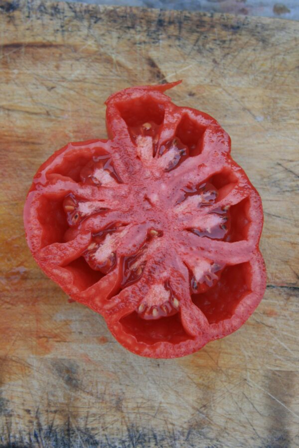 Tomate Grosse de Trélazé – Image 2
