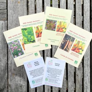Assortiment Potager d’Hiver – Semis de Septembre