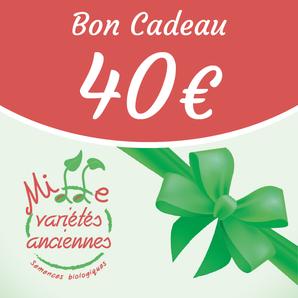 Bon cadeau – Image 3