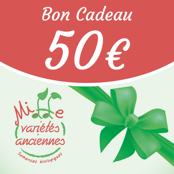 Bon cadeau – Image 4