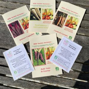 Assortiment Légumes Racines Anciens
